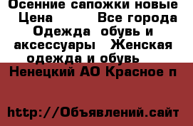 Осенние сапожки новые › Цена ­ 600 - Все города Одежда, обувь и аксессуары » Женская одежда и обувь   . Ненецкий АО,Красное п.